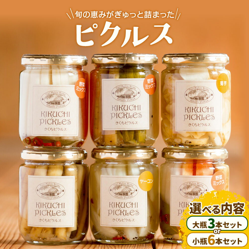 【ふるさと納税】ピクルス 大瓶 3本セット 【メロンドーム】 約260g×3本 6本 ピクルス 野菜 酢漬け 漬物 おつまみ 旬の野菜 《30日以内に出荷予定(土日祝除く)》