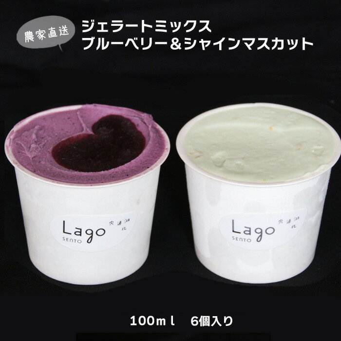 【ふるさと納税】農家直送 ジェラート セット ブルーベリー&シャインマスカット 2種 6個入り 出雲市産 ヤギミルク ギフト