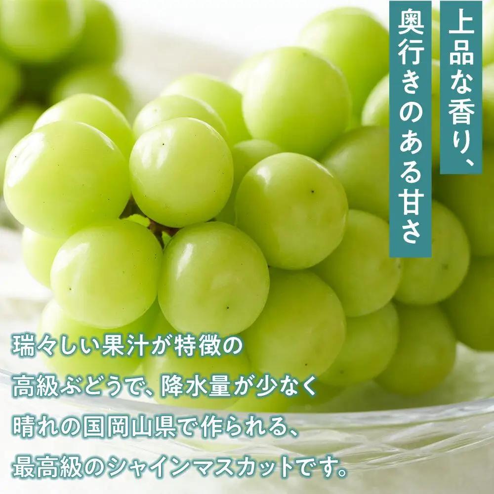 ぶどう 2026年  ニュー ピオーネ 1房（1房470g以上） シャインマスカット 『晴王』1房（1房470g以上）詰合せ（2房） 葡萄  岡山県産 フルーツ 果物 ギフト | シャインマスカット