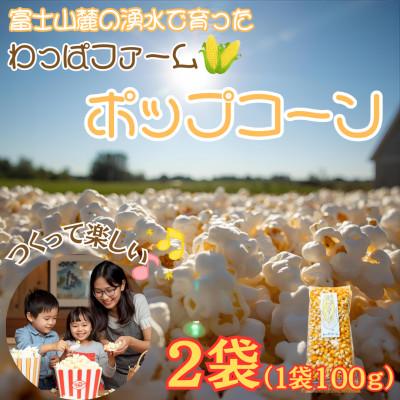 ふるさと納税 西桂町 【訳あり】作って楽しい!食べておいしい!有機栽培で作ったこだわりのポップコーン2袋(1袋100g)