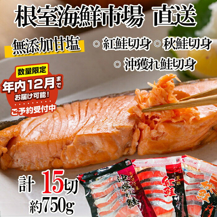 【ふるさと納税】★年内12月までお届け可能、数量限定でご予約受付中★ 根室海鮮市場＜直送＞無添加甘塩天然鮭3種セット 各5切×1P(計15切) 各5切×2P(計30切) さけ サケ さかな サカナ 魚 北海道 根室市