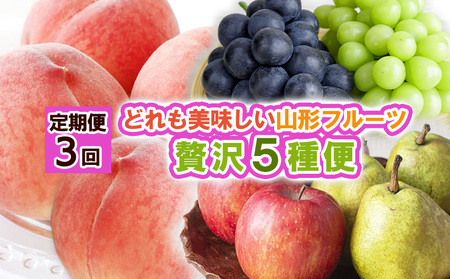 【定期便3回】どれも美味しい 山形フルーツ 贅沢5種便【令和8年産先行予約】FS25-122
