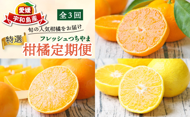 
                  みかん定期便 特選 贈答用 旬 柑橘定期便 全3回 吉田みかん 愛果28号 媛小春 おまかせ 詰合せ 矢野青果 先行予約 愛媛みかん 愛媛蜜柑 愛媛ミカン みかん 愛媛県産みかん 果物 くだもの フルーツ 柑橘 みかん 産地直送 数量限定 国産 愛媛 宇和島 B054-096022～023
                