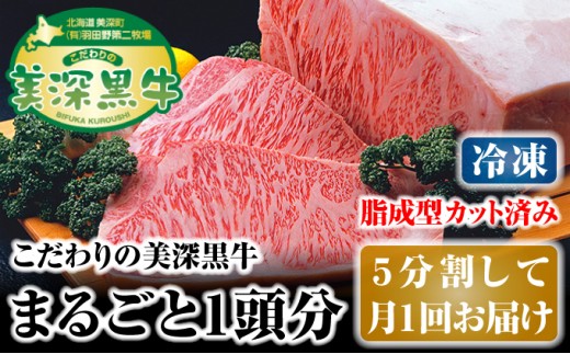 
[№5894-0248]北海道 こだわりの美深黒牛1頭分（冷凍）5分割して月1回お届け
