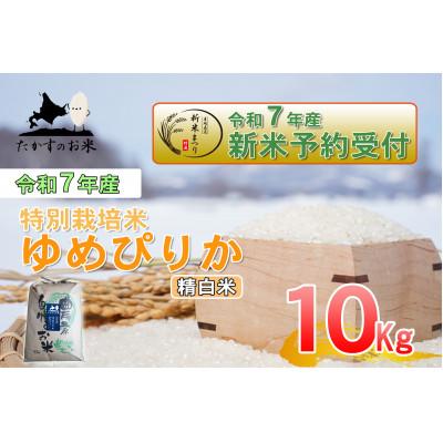 ふるさと納税 鷹栖町 令和7年産新米予約 たかすのお米 特別栽培米 ゆめぴりか 10kg(精白米)