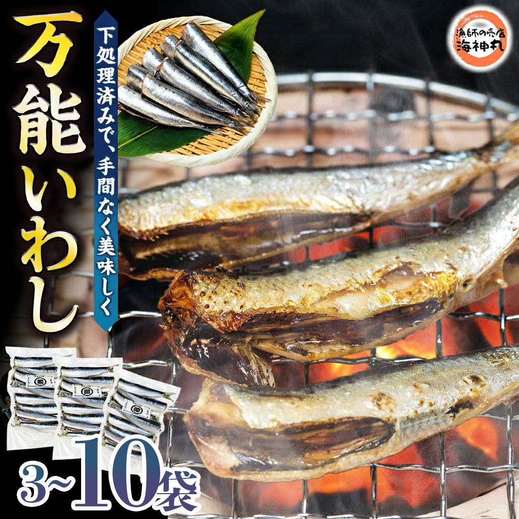 【ふるさと納税】 選べる容量 万能いわし 8匹(約160g~180g）×3~10袋 下処理済み イワシ いわし 鰯 冷凍 魚介 小分け 魚 魚貝 贈り物 便利 簡単 グルメ BBQ 煮付け 塩焼き 蒲焼 旬 梅煮 焼き魚 おかず 海鮮