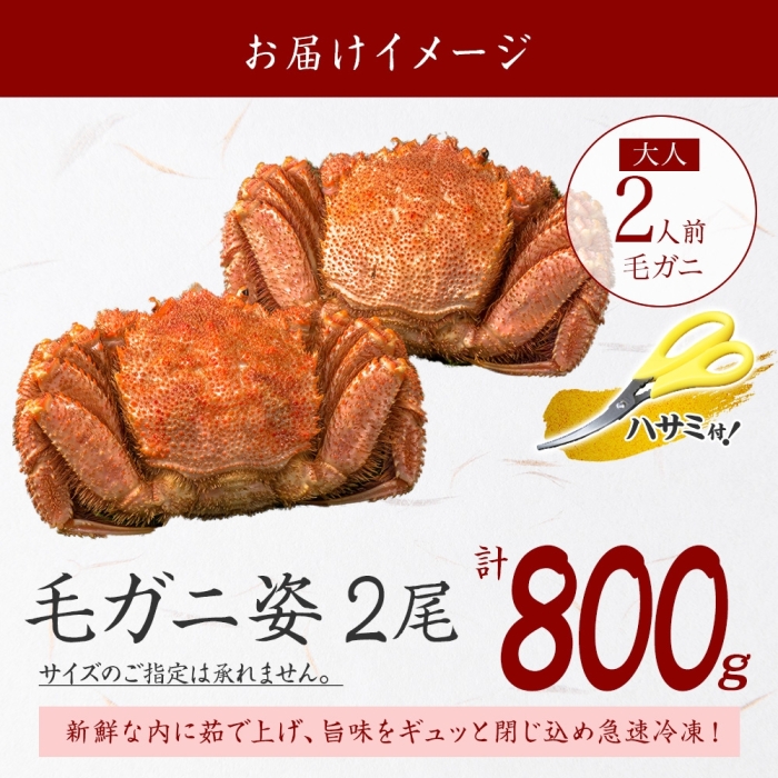 2563. 毛蟹 2尾 計800g前後 食べ方ガイド・専用ハサミ付 カニ かに 蟹 海鮮 ボイル 送料無料 北海道 弟子屈町 _イメージ4