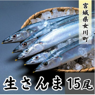 【ふるさと納税】生さんま　15尾【配送不可地域：離島・北海道・沖縄県・信越、北陸・近畿・中国・四国・九州】【1642728】