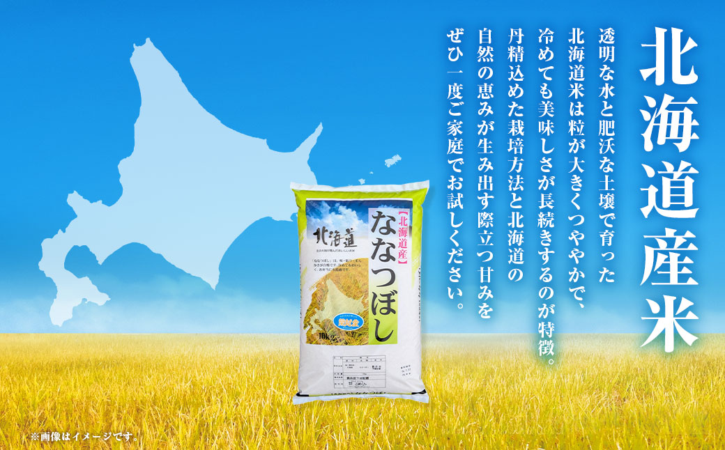 【令和7年度産】 蘭越町産ななつぼし 10kg 白米 北海道産 米 コメ こめ お米 通常発送