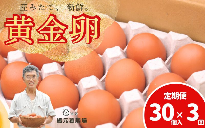 【定期便】産みたて新鮮卵 30個入り 3か月 定期便 | 卵 たまご 玉子 鶏卵 新鮮 濃厚 生卵 赤玉たまご 目玉焼き オムレツ 健康 産地直送 ※沖縄・離島への配送不可【aubless023】 