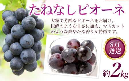 【定期便全3回】産直・厳選フルーツ定期便