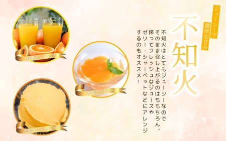 果肉プリプリ♪　完熟紀州デコ(不知火) 約5kg ＜2025年2月中旬頃～3月中旬頃発送＞（お届け日指定不可）【uot707】