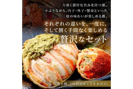 年末お届け限定【蟹の匠 魚政】プレミアムズワイガニ 雌雄の甲羅盛り 夫婦宝船（めおとたからぶね） 小小セット─雄と雌、ふたつの旨みを一つの箱に 蟹