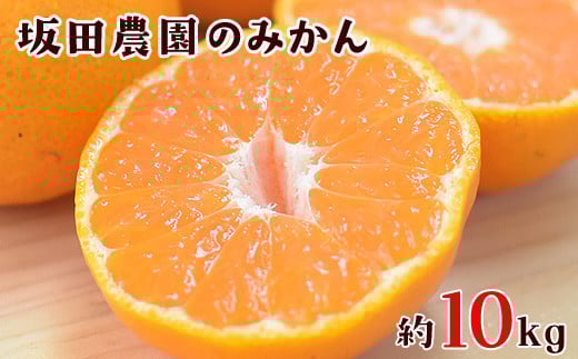 
            先行予約 『坂田農園』のみかん 大容量 約10kg(2S-Lサイズ)《10月上旬-1月末頃出荷》 【日付指定不可】 熊本県玉東町産限定 予約受付中 フルーツ 秋 旬 ジャム ゼリー 玉東町70年のベテラン！濃厚な食味とジューシーな果汁 熊本県玉東町
          