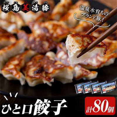 ふるさと納税 垂水市 鹿児島県産 桜島 美湯豚 ひと口 餃子 計80個【大隅ミート産業】A1-0419