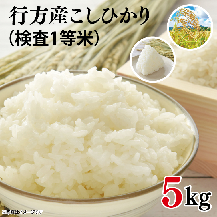 ★令和8年産★行方産こしひかり 5kg(検査1等 米)｜米 お米 コシヒカリ こしひかり R8年産 茨城県 行方市(CU-30-2)