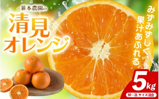 
                  【数量限定】笹本農園の清見オレンジ 約5kg M～2Lサイズ混合 【2027年4月上旬頃〜順次発送】 みかん ミカン 蜜柑 清見 オレンジ 柑橘 フルーツ 果物 くだもの 甘い 旬 人気 果汁 濃厚 ジューシー デザート 産地直送 農家直送 みかん 清見オレンジ 国産 お取り寄せ 新鮮 期間限定 季節限定 先行予約 おすすめ 三重県 熊野市【ssmt0003】
                