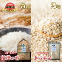 【ふるさと納税】コシヒカリ 『稲穂の香』 5kg と稲加のもち麦『キラモチ』2kg 米 もちむぎ 兵庫県 稲美町産