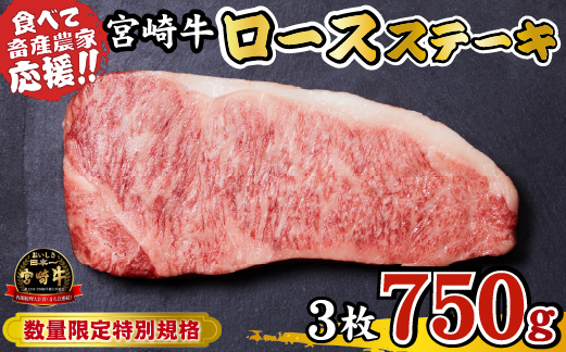 【A4等級以上】宮崎牛 ロースステーキ 750g（牛肉 黒毛和牛 畜産農家応援 ロース ステーキ 赤身 数量限定 内閣総理大臣賞）