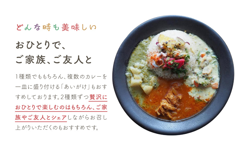 【and CURRY】カレー詰め合わせ3種セット【カレー レトルト 冷凍 スパイス スパイスカレー 小分け おすすめ 無農薬 ギフト 贈り物 】