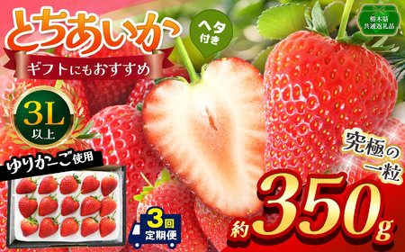 【栃木県共通返礼品】【定期便3回】【先行予約】とちあいか 3L以上ホール詰め 約350g | いちご とちあいか 香貴 朝採れ 大粒 新鮮 甘い  数量 限定 美味しい 果物 共通返礼品 フルーツ デザート 栃木県 那珂川町 送料無料
