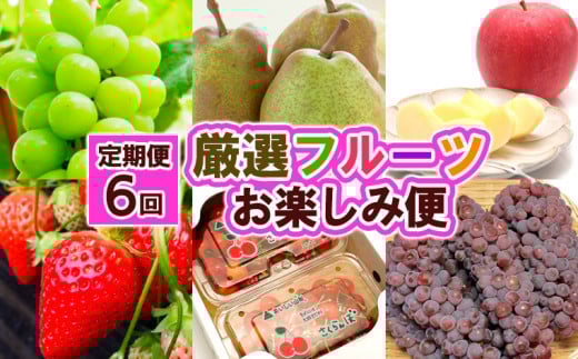 【定期便６回】厳選フルーツお楽しみ FY25-827
