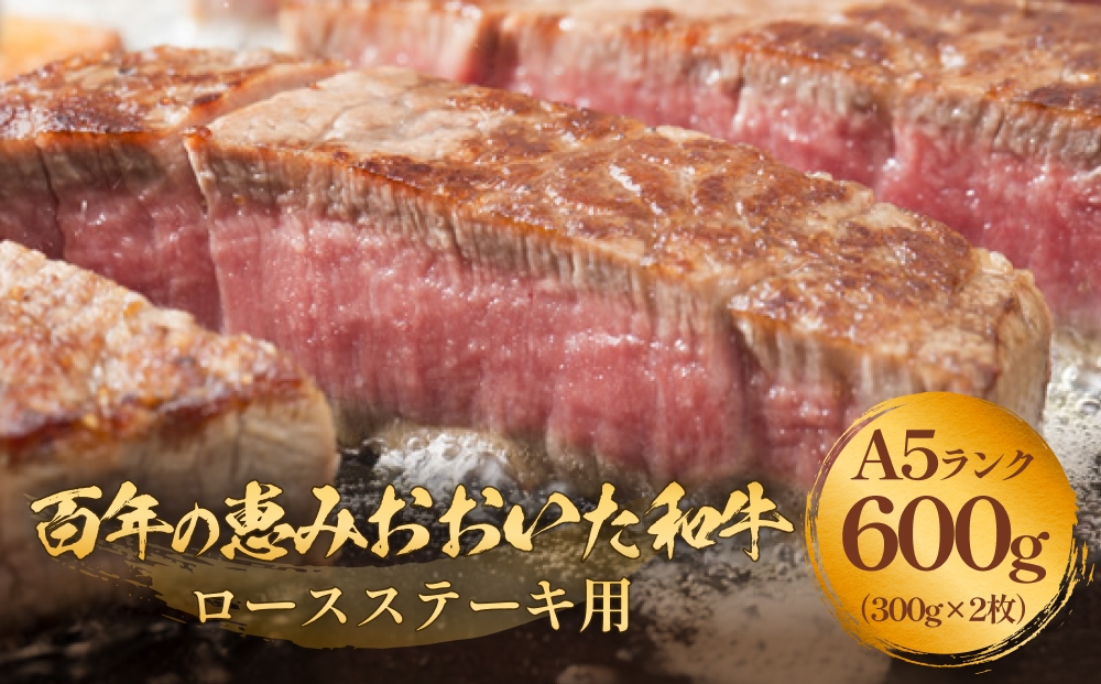 「百年の恵み おおいた和牛 」A5 ロースステーキ用 300g×２枚 黒毛和牛 黒毛 和牛 牛肉 ロース ステーキ おおいた和牛 A5ランク 霜降り 上質 肉産地 九州 大分 トキハインダストリー 玖珠店 高評価 血統 美味しい 風味 良質 肉