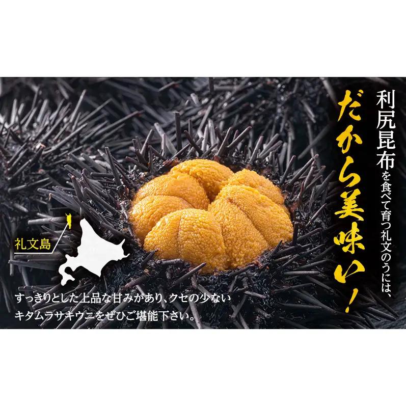 礼文産キタムラサキウニ 塩水 200g(100g×2) うに