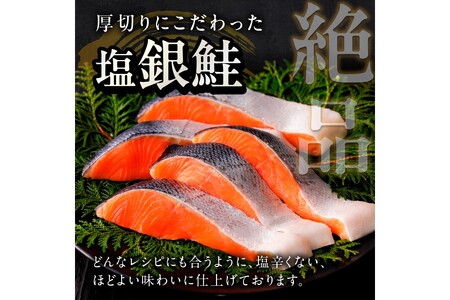 お手軽！絶品！厚切り　塩銀鮭切身 約1kg（プロトン凍結　訳あり　不揃い）