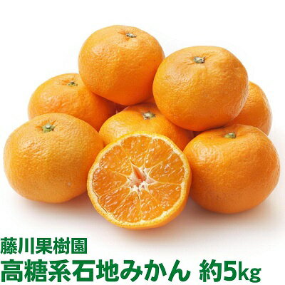 【ふるさと納税】高糖系石地みかん 約5kg 果物類／みかん 柑橘類 フルーツ ミカン 蜜柑 　お届け：2025年12月上旬～12月下旬