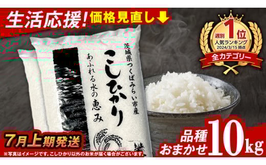 【 7月上期発送 / 数量限定 】茨城県つくばみらい市産 精米 10kg (品種おまかせ） 令和6年産 こしひかり 米 コメ こめ 単一米 限定 茨城県産 国産 美味しい お米 おこめ おコメ