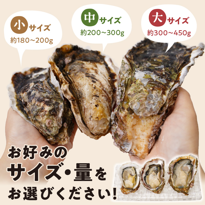 延岡産天然岩牡蠣（生食用）10kg（大）2026年4月15日から発送開始 N036-YZD027