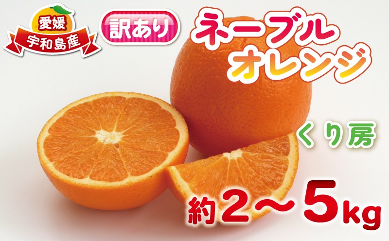 
                  訳あり ネーブルオレンジ 約 2 kg ～ 約 5 kg  くり房  訳アリ 訳あり品 ネーブル オレンジ おれんじ orange 愛媛みかん 愛媛蜜柑 愛媛県産みかん 蜜柑 みかん mikan 甘い 濃厚 カットフルーツ 果物 くだもの フルーツ 柑橘 数量限定 産地直送 国産 愛媛 宇和島 B010-204008～009
                
