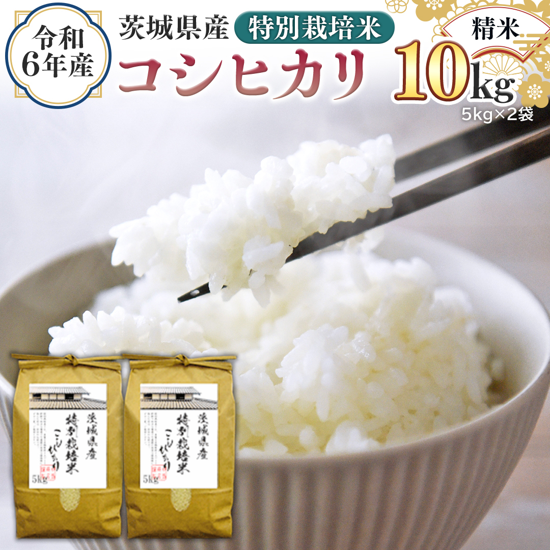 令和6年産 茨城県産 精米 特別栽培米 コシヒカリ 10kg （5kg×2袋） 白米 こしひかり 米 コメ こめ 単一米 限定 茨城県産 国産 美味しい お米 おこめ おコメ [EH08-NT]