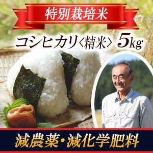1400R07　特別栽培米 コシヒカリ5kg 山形県遊佐産 鳥海山の恵（令和7年産米）