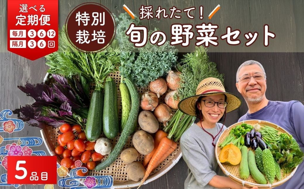 
            【選べる定期】【5品目】特別栽培 たかしま農園 採れたて 旬の野菜セット | 野菜 やさい 生野菜 おまかせ 詰め合わせ 無農薬 新鮮 季節 旬 食材 地元産 有機野菜 有機農業 農家 食育 健康 お取り寄せ 埼玉県 久喜市
          