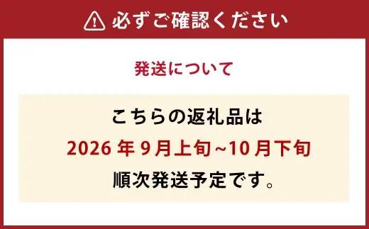 北海道産 船上活〆サケメス 約2.5kg 【2026年9月上旬～10月下旬まで発送予定】 鮭 イクラ 卵 活〆 塩焼き 冷凍 旬 魚 魚類 魚介 魚介類 食材 国産 サケ さけ フライ ムニエル サケ