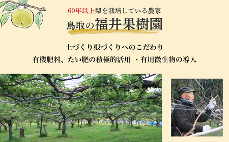 【希少梨】 晩三吉 5kg（5～14玉） 倉吉産 福井果樹園 おくさんきち 梨 なし ナシ ブランド梨 冬梨 希少品種 果物 フルーツ 和梨 数量限定