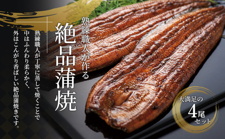 うなぎ 浜名湖産 鰻蒲焼き2本入×2箱セット