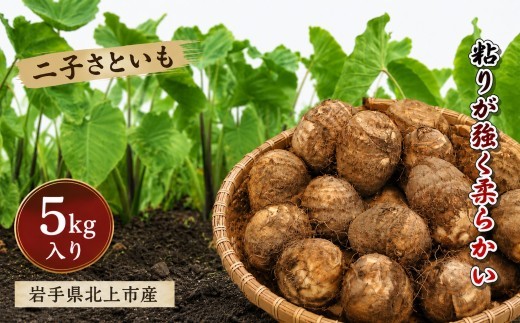 
                  【予約受付 R8年産10月発送予定 】さといも 5kg 2L・3L サイズ 秋の味覚 北上市二子産 二子 ふたご 里芋もちもち 芋の子 特産品 季節 産地直送 贈り物 贈答 食物繊維 低カロリー 煮物 汁物 岩手県 北上市 F0087
                