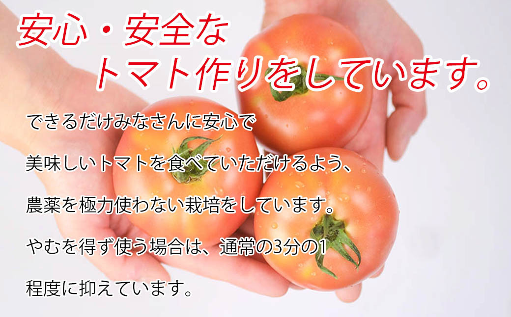 平泉町産 たかはしさんちの完熟トマト 約6kg(M玉サイズ) 【2024年6月下旬～9月下旬頃からの発送】/ トマト とまと 完熟 樹上完熟 野菜 やさい ベジタブル 甘い 濃厚 美味しい リコピン【