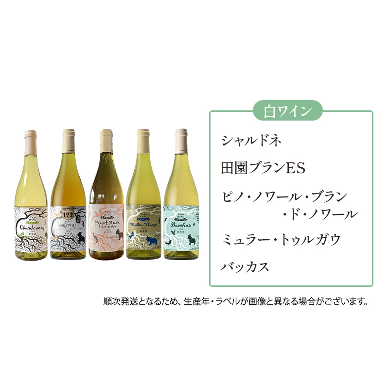 6ヵ月定期便◆野生酵母ワイン 毎月3本お届け(6ヵ月間) 多田ワイナリー 北海道 上富良野町 ワイン 赤ワイン 白ワイン 微発泡ワイン オレンジワイン_イメージ2