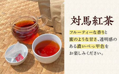 【全12回定期便】対馬紅茶 ティーバッグ 20包入×3袋 対馬 紅茶 お茶 ティー べにふうき茶葉 フルーティー  [WBE009]