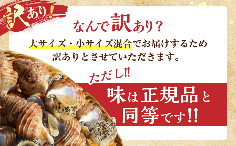 【訳あり】北海道浜中産『灯台つぶ(ボイルむき身)300g×5パック』_H0023-058