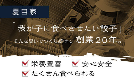 夏目家の丸もち餃子  〈1パック（12個入）＋おまけ〉丸もち餃子 夏目家 餃子 訳あり セット 定期便 惣菜 ぎょうざ 愛知県 豊橋市