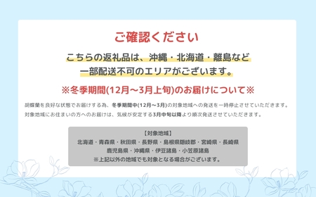 産直胡蝶蘭『カララ』12鉢セット　ウッド鉢                 