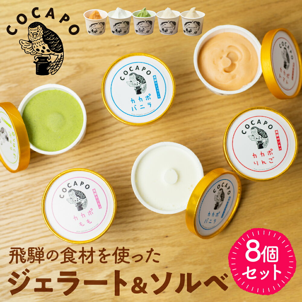 【ふるさと納税】飛騨のジェラート ソルベ 8個入り 詰め合わせ スイーツ アイス アイスクリーム ギフト プレゼント 誕生日祝い カカポ 10000円 飛騨市