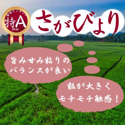 ふるさと納税 伊万里市 令和7年産『さがびより白米5kg』『夢しずく白米5kg』食べ比べ!!《計10kg》 |  | 01
