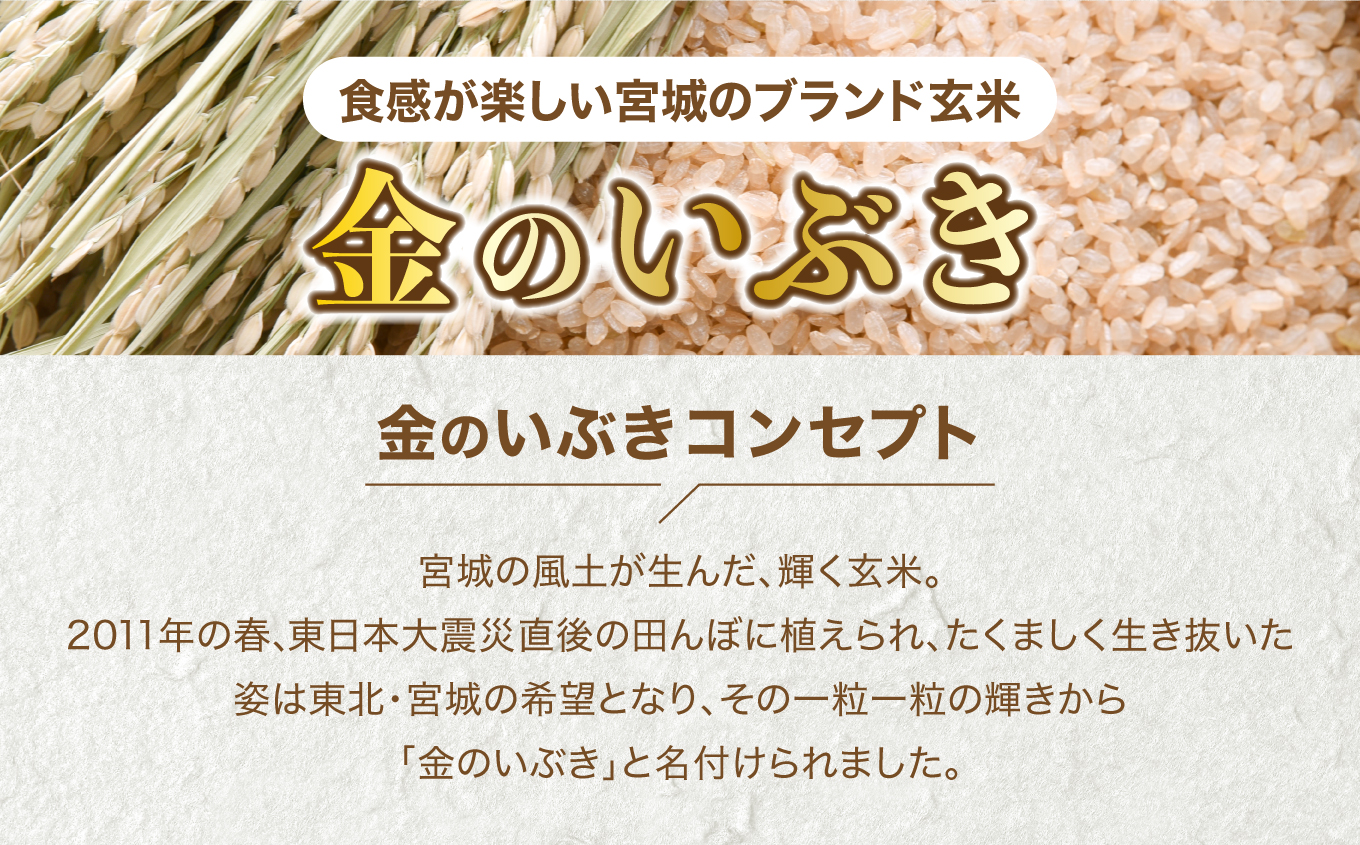 玄米 パックご飯 宮城県産「 金のいぶき 」発芽玄米 パック ごはん ( 150g × 12個 )  金のおいしさ! ＜ 宮城のブランド玄米 ＞[ JA加美よつば農業協同組合 宮城県 加美町 yo00