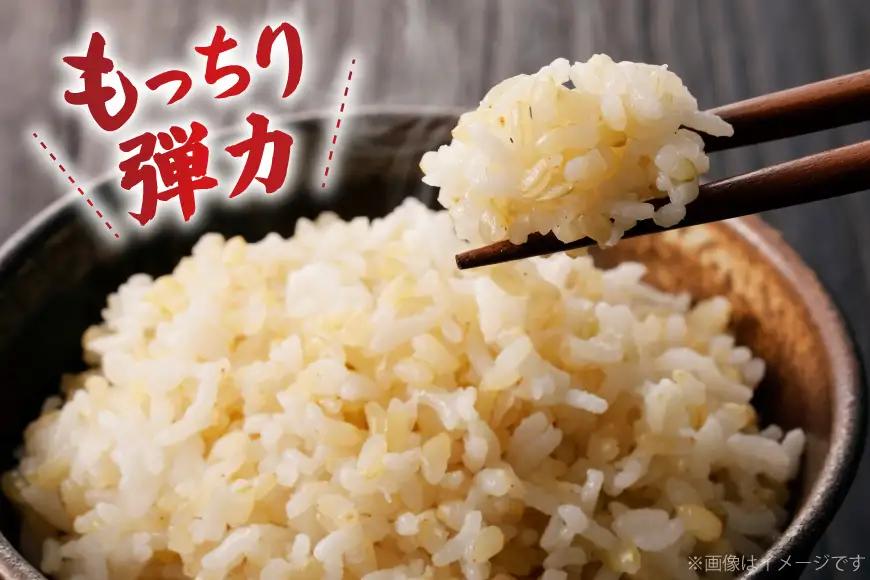 【俺の米】米 令和8年 コシヒカリ 玄米 30kg
